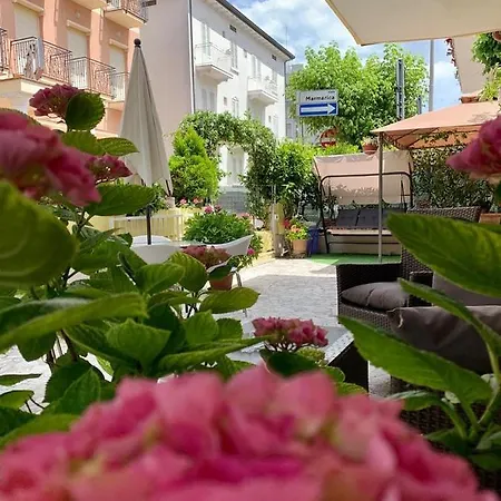 In Guest - New Cirene Comfort Double And Full Package